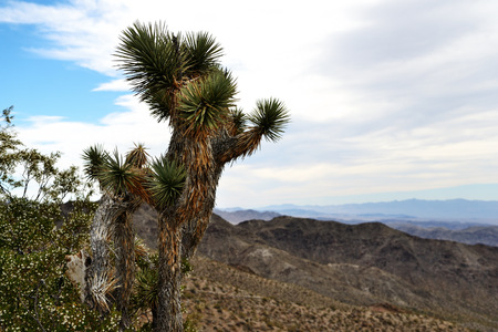 Pierce Ferry Road landscapes, Meadview. Grand Canyon National park, Arizona, USAの写真素材