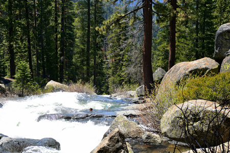 Forest and mountain river in Yosemite National Park, California, USAの写真素材