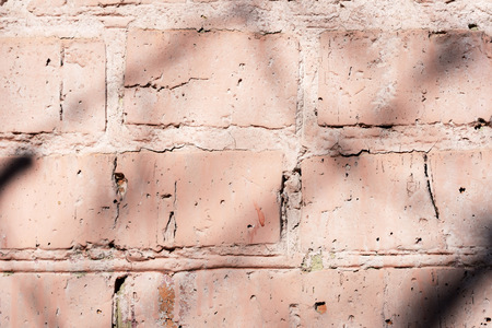 Old painted brick wall with shadows of branches on it on a sunny day.. Brick wall abstract backgroundの写真素材
