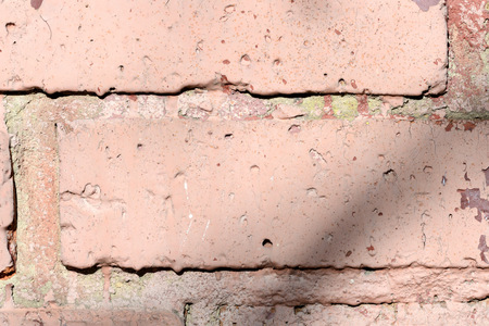 Old painted brick wall with shadows of branches on it on a sunny day.. Brick wall abstract...