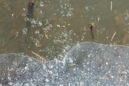 Dry grass under transparent ice close up in springtime