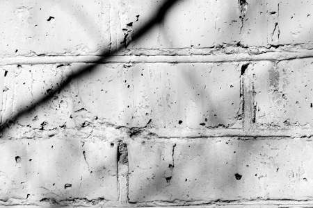 Old painted brick wall with shadows of branches on it on a sunny day. Black and white abstract...