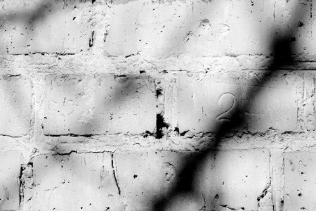 Old painted brick wall with shadows of branches on it on a sunny day. Black and white abstract backgroundの写真素材