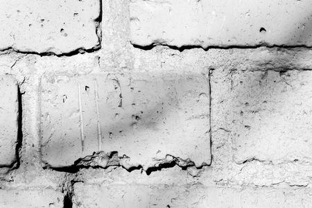 Old painted brick wall with shadows of branches on it on a sunny day. Black and white abstract backgroundの写真素材