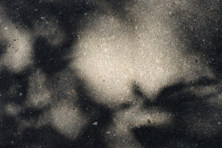 Asphalt surface with the shadow of tree branches on a bright sunny day close up. Abstract backgroundの写真素材