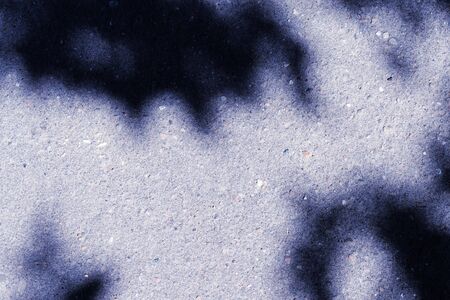 Colored asphalt surface with the shadow of tree branches close up. Abstract background