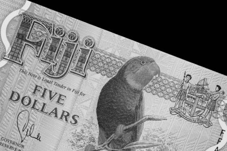 Five Fijian dollars banknote on a black background close up. Black and whiteの写真素材