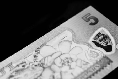 Five Fijian dollars banknote on a black background close up. Black and whiteの写真素材