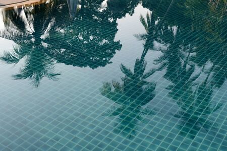 Reflection of palm trees and beach umbrellas in the pool in the morning lightの写真素材
