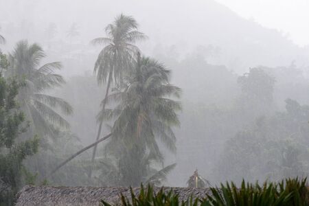 Heavy tropical rain on the coast of Koh Samui, Thailandの写真素材