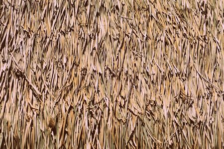 Palm roof  texture close up. Tropical backgroundの写真素材