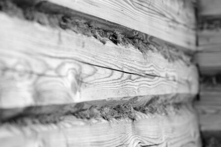 A wooden wall of logs and dry moss closeup. Abstract background black and white