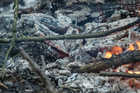 Burnt logs and fire flames close-up. Abstract backgroundの写真素材