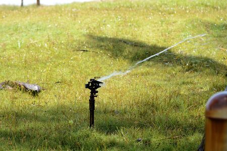 Lawn sprinkler spraying water on a summer day. Automatic watering equipment and lawn careの写真素材