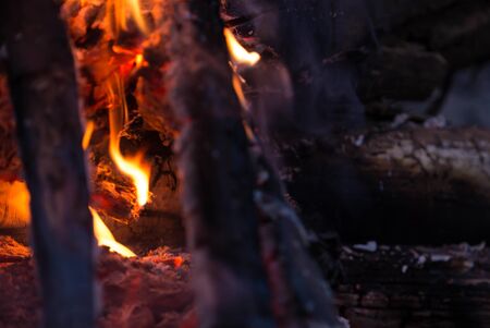 Close-up of burning bonfire. Nature abstract background