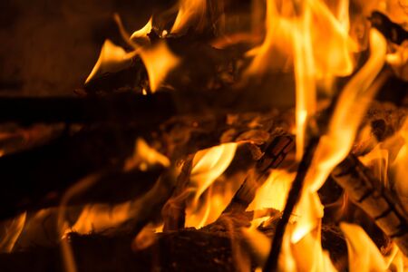 Close-up of burning bonfire. Nature abstract background