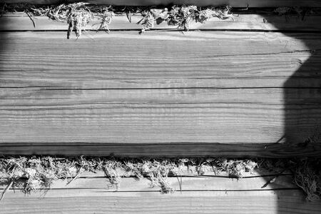Wooden wall made of logs and dry moss close-up illuminated by the bright sun. Abstract background black and whiteの写真素材