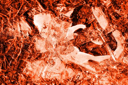Dry grass under transparent ice close-up. Natural abstract background orange color toned