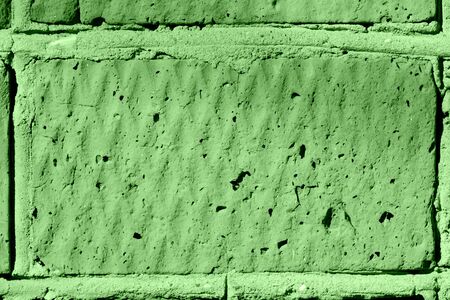 Brick wall texture close-up lit by the sun. Abstract background green color toned