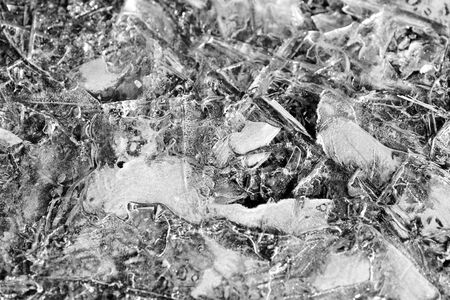 Last year's grass under spring transparent ice close-up, top view. Monochrome natural abstract backgroundの写真素材