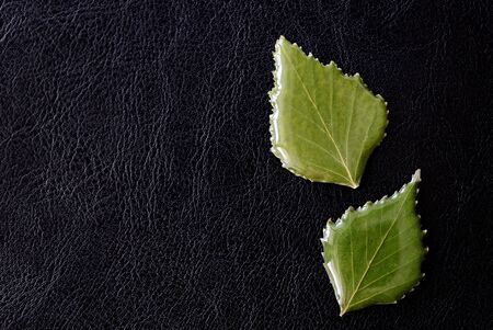 Leaves of birch drenched in epoxy on a dark background close-up. The basis for a pendant or earrings. Handmade jewelry in the manufacturing process. Top viewの写真素材