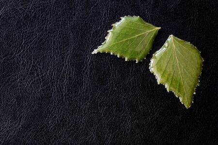 Leaves of birch drenched in epoxy on a dark background close-up. The basis for a pendant or earrings. Handmade jewelry in the manufacturing process. Top viewの写真素材