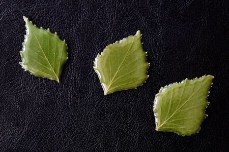 Leaves of birch drenched in epoxy on a dark background close-up. The basis for a pendant or earrings. Handmade jewelry in the manufacturing process. Top viewの写真素材