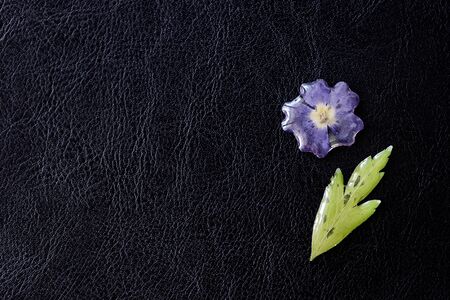 Epoxy resin coated flower and leaf closeup on a dark background. Elements for handmade jewelry made of resin and natural material. Top view, copy spaceの写真素材