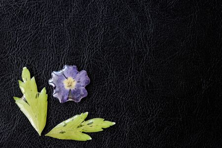 Epoxy resin coated flower and leaves closeup on a dark background. Elements for handmade jewelry made of resin and natural material. Top view, copy spaceの写真素材