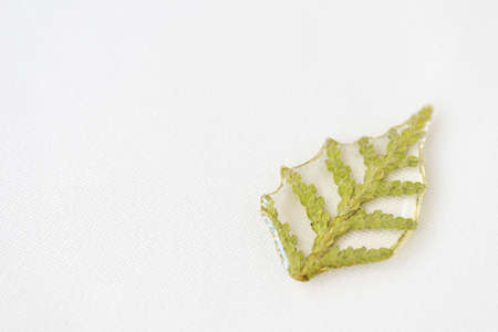 Thuja tree leaf filled with epoxy resin on a white textile background close-up. The basis for a pendant or earrings. Handmade jewelry in the manufacturing process. Top view, copy spaceの写真素材