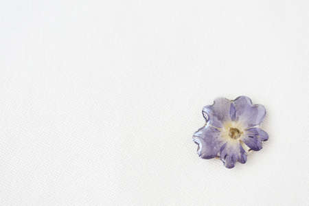 Blue flower filled with epoxy resin on a white textile background, top view. The basis for a pendant or earrings. Handmade jewelry in the manufacturing process. Copy spaceの写真素材