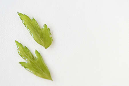 Small green leaves filled with epoxy resin on a white textile background, top view. The basis for a pendant or earrings. Handmade jewelry in the manufacturing process. Copy spaceの写真素材