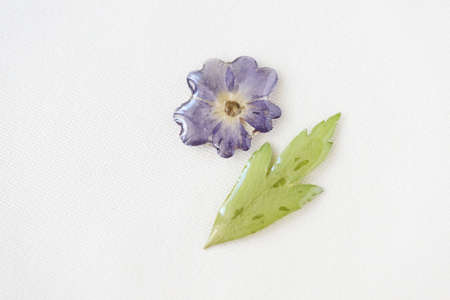 Blue flower and green leaf filled with epoxy resin on a white textile background, top view. The basis for a pendant or earrings. Handmade jewelry in the manufacturing processの写真素材