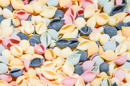Colourful Pasta on a tableの写真素材
