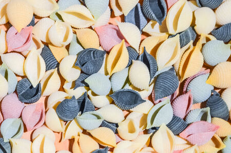 Colourful Pasta on a tableの写真素材