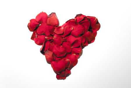 Rose flower heart shape frameの写真素材