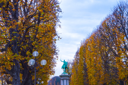 Skyline of sunset in Paris with autumn treesの写真素材