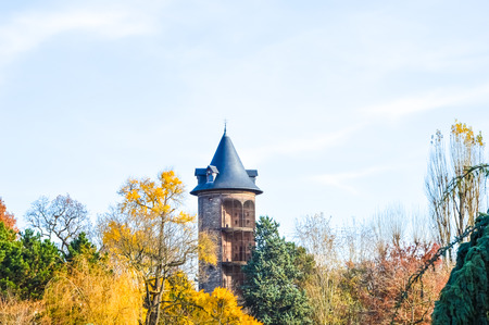 Forest reflection in small river in fallの写真素材