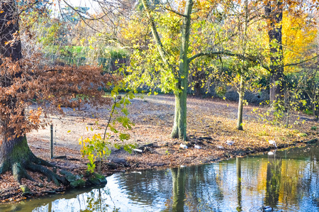 river during autumnの写真素材