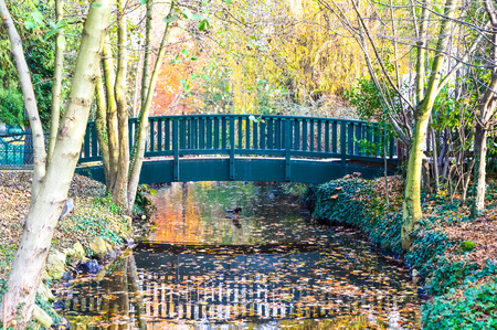 Bridge in a forest during autumnの写真素材