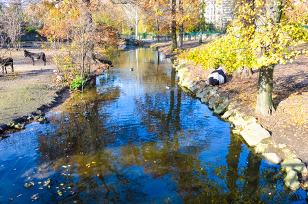 River in an autumn gardenの写真素材