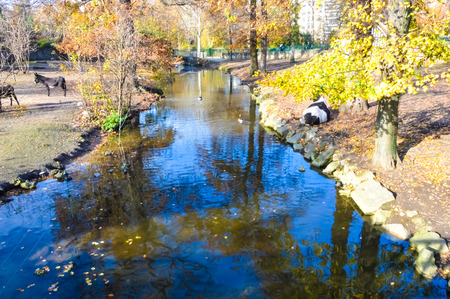 River in an autumn gardenの写真素材
