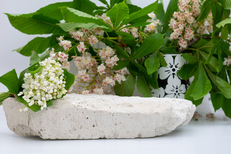 White stone and chestnut flowers with green leaves on background, natural podium for productsの写真素材