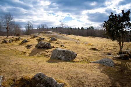 Stones on a fieldの写真素材