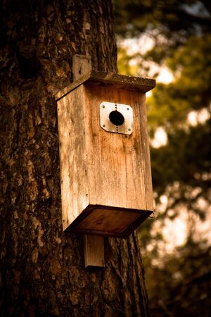 Nesting box on a treeの写真素材