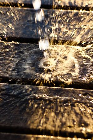 Water is splashing on a wooden surfaceの写真素材