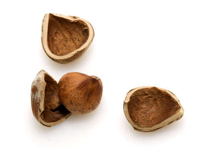 Isolated cracked huzelnutの写真素材