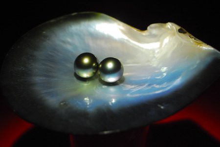 Pearl on a shell, Guangzhou, Chinaのeditorial素材