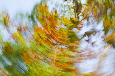 Rotation of colourful leaves, Yuen Long, Hong Kong, Chinaの写真素材