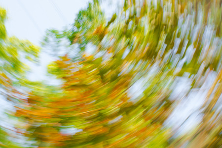 Rotation of colourful leaves, Yuen Long, Hong Kong, Chinaの写真素材